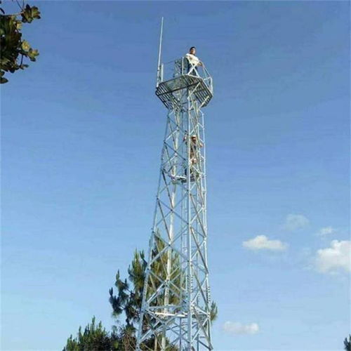 涉县森林避雷塔厂家睿昌通信工程 登高眺望，铸就网络工程新高度